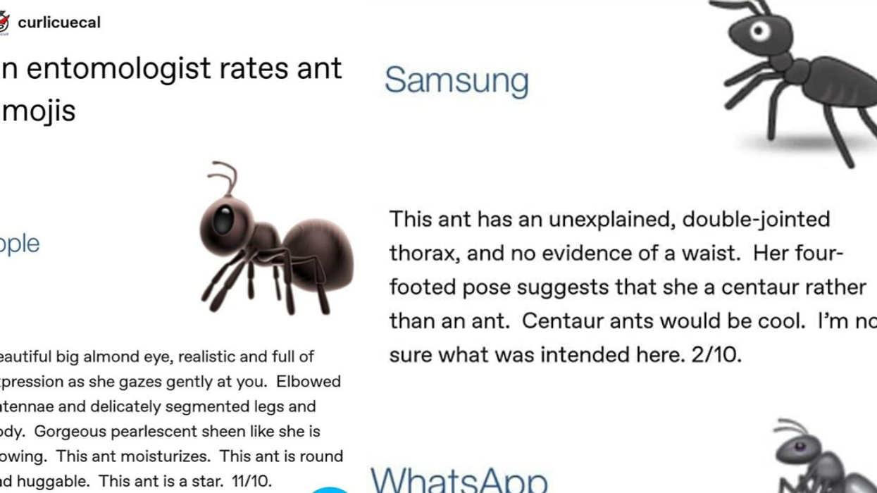 Entomologist's Detailed Ratings For All The Various Ant Emojis Have The Internet Cracking Up