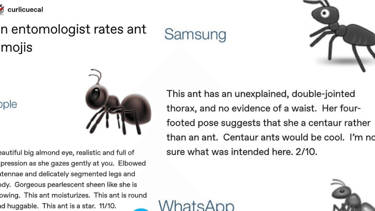Entomologist's Detailed Ratings For All The Various Ant Emojis Have The Internet Cracking Up