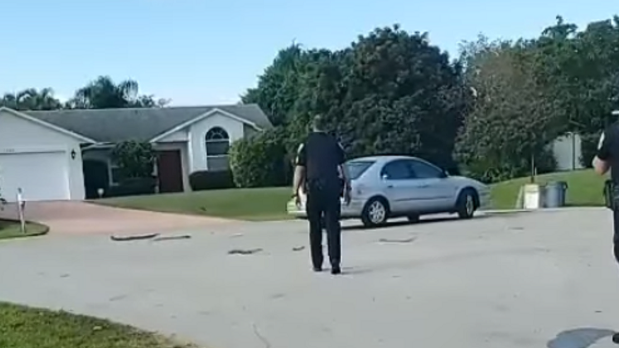 Dog Overjoyed After Locking Owner Out Of Car And Riding In Reverse Circles For An Hour