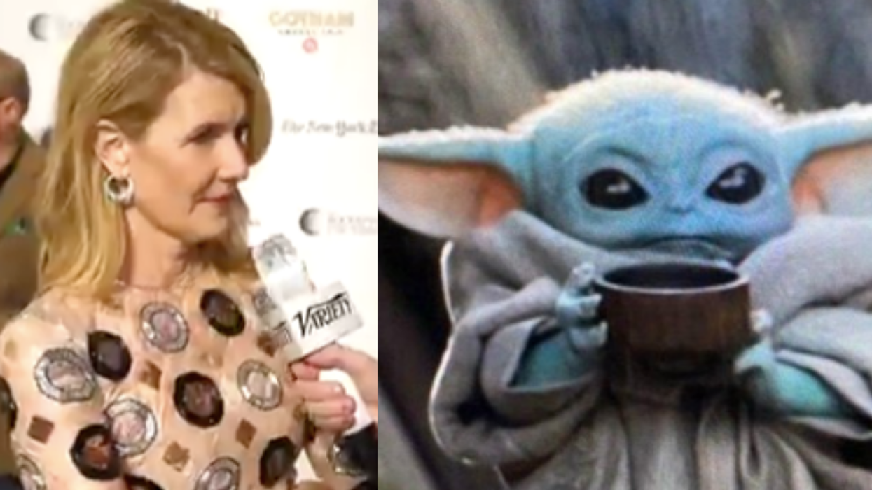 Laura Dern Claims She Saw Baby Yoda 'At A Basketball Game' In Awkward Interview, And Even She's Confused