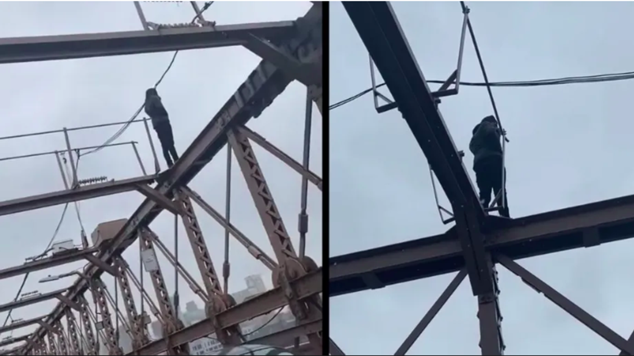 Driver Successfully Pleads With Man Not To Jump Off Brooklyn Bridge In Dramatic Video
