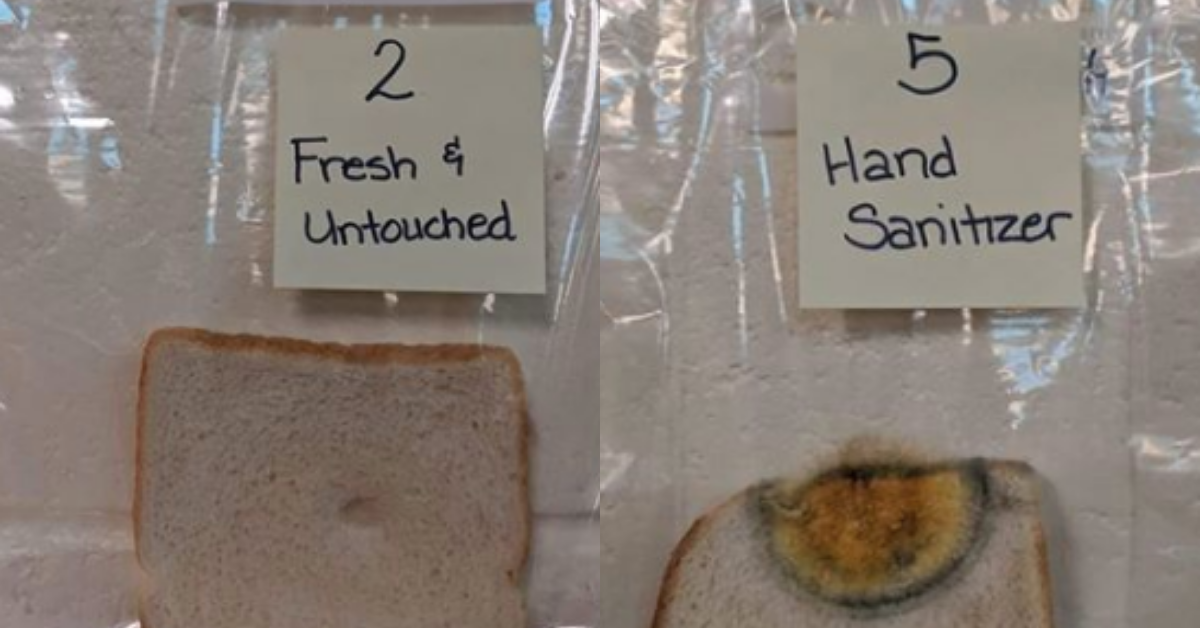 Elementary School's Bread Experiment Goes Viral For Showing Just How Important It Is To Wash Your Hands