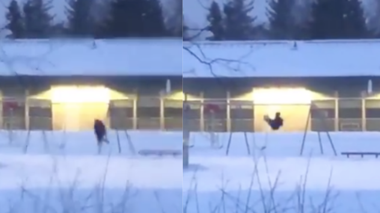 There's A Debate Raging About Which Way The Guy On The Swing Is Facing In This Viral Video