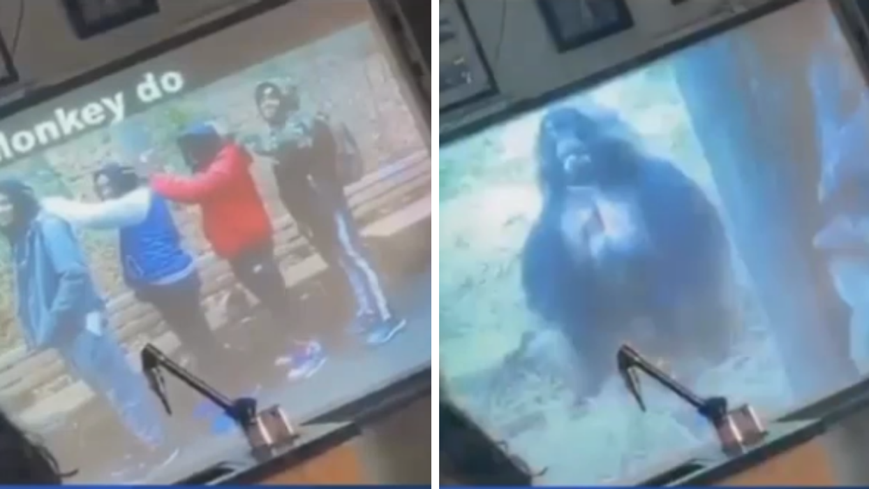 Parents Outraged After New York High School Teacher Compares Black Students To Monkeys In Field Trip Slideshow