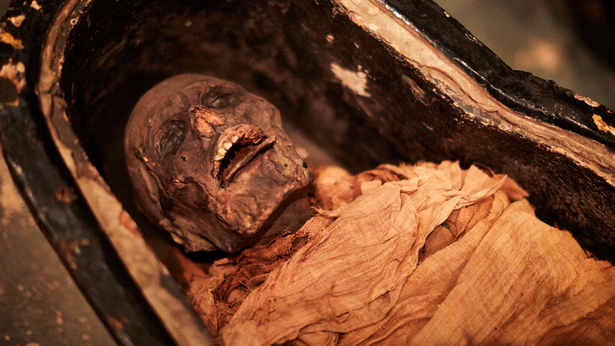 Scientists Use Technology To Reproduce Voice Of 3,000-Year-Old Mummified Egyptian Priest