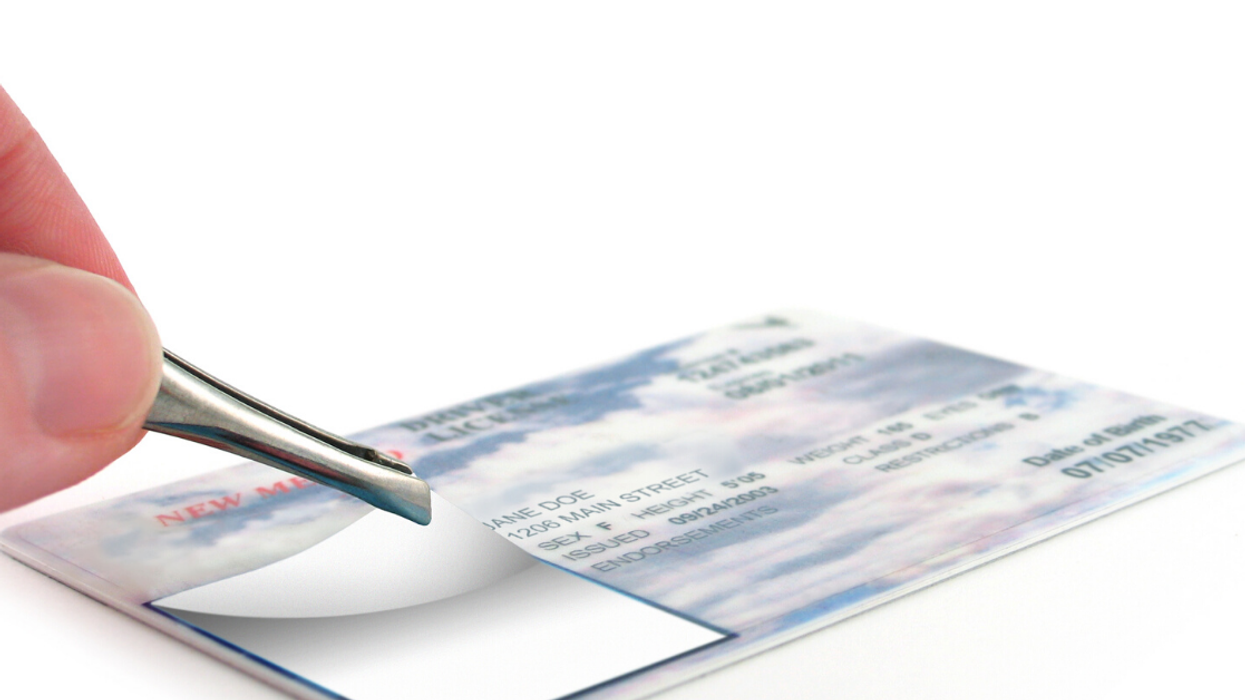 Teen Calls Police After The Fake ID He Ordered Never Arrived, And Yikes