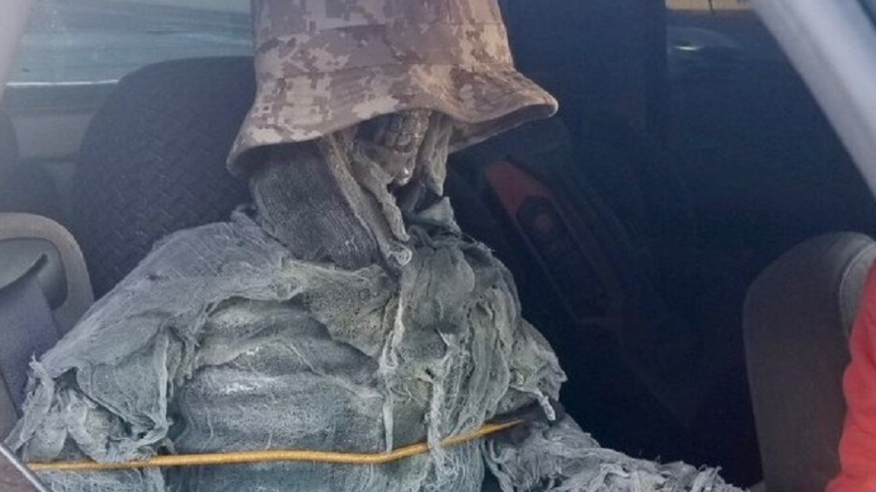 Arizona Driver Tries To Dress Up Halloween Skeleton To Use Carpool Lane—It Doesn't Work Out For Him