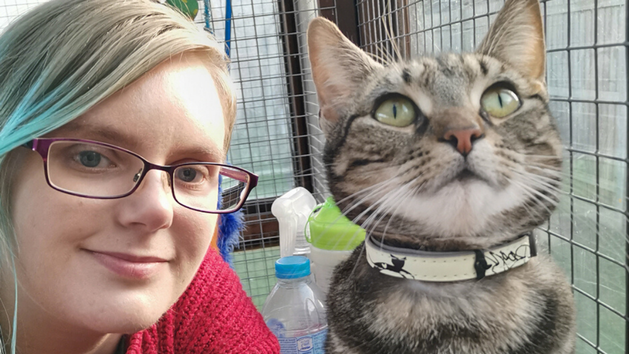 Woman Who Sleeps Up To 22 Hours A Day Has Life Transformed By Running Rescue Cat Center From Her Backyard