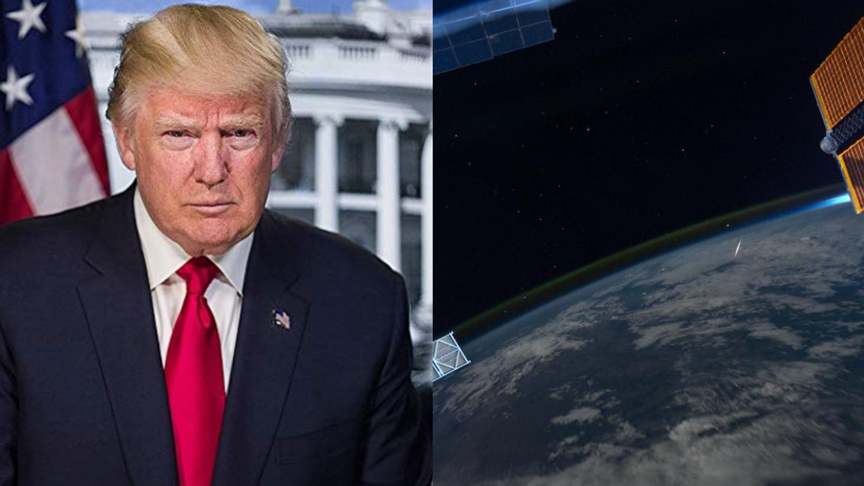 New Hampshire Democrats Were Asked To Pick Between A Trump Reelection And A Meteor Crash—And The Results Speak For Themselves