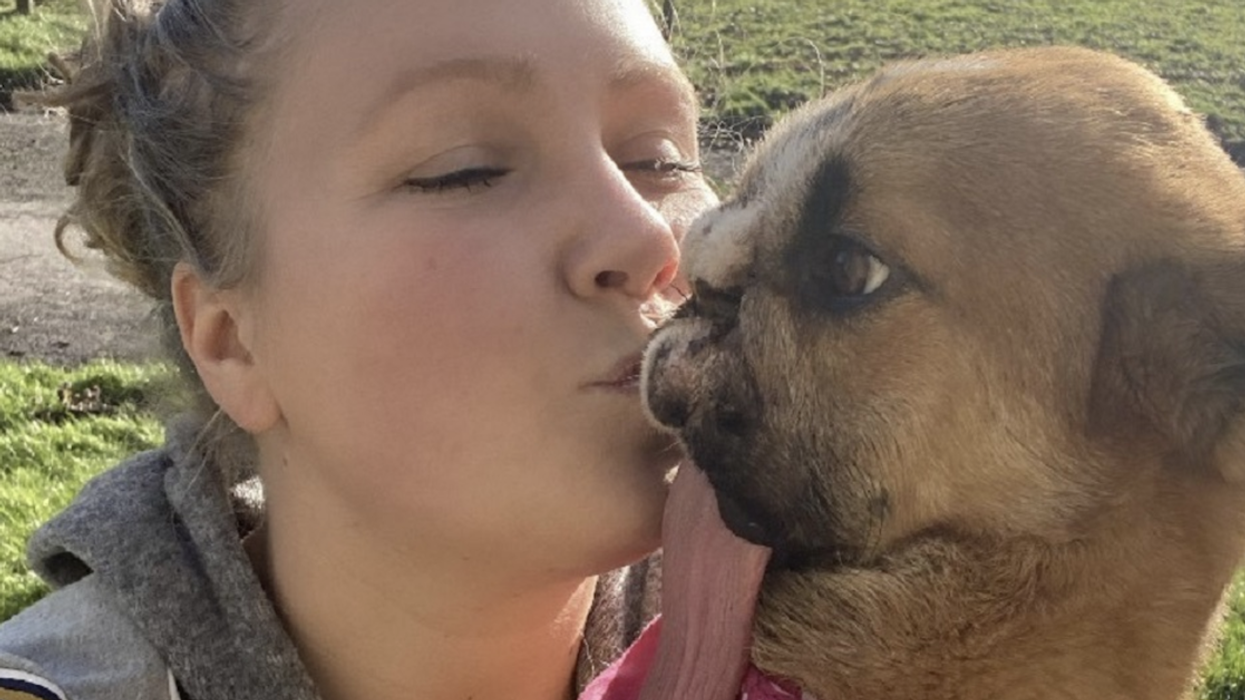 Rescue Dog Who Was Left Severely Disfigured Due To Abuse Finally Gets Her Happily Ever After