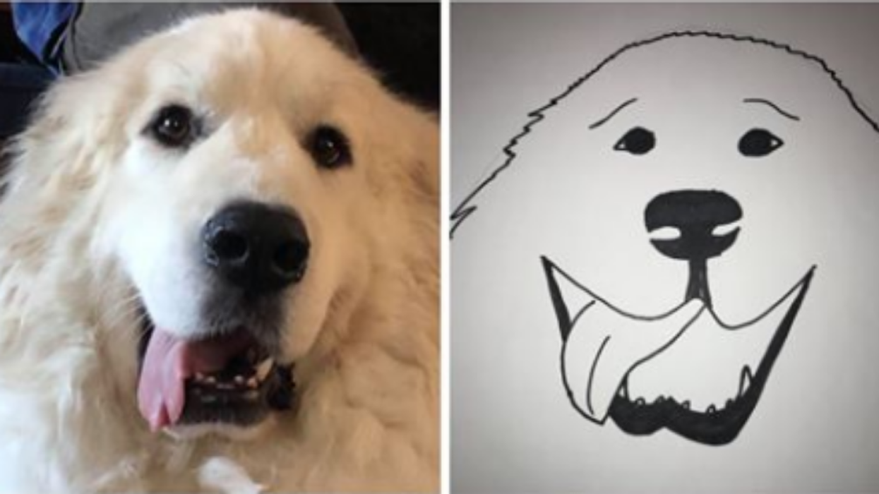 Wisconsin Humane Society Raises Over $12,000 By Offering To Draw Hilarious 'Masterpieces' Of People's Beloved Pets