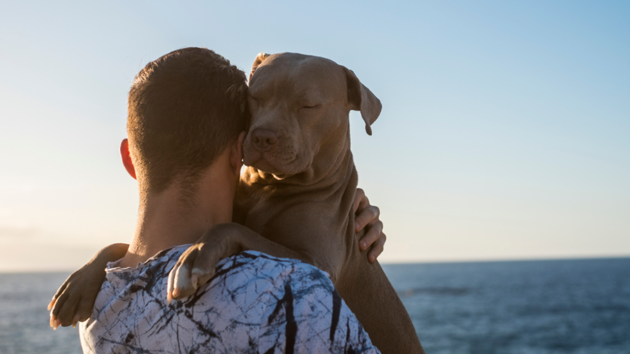 Dog Owner Asks If They're Wrong For Taking Back Their Dog From The Loving Family That Unintentionally Stole It Two Years Ago
