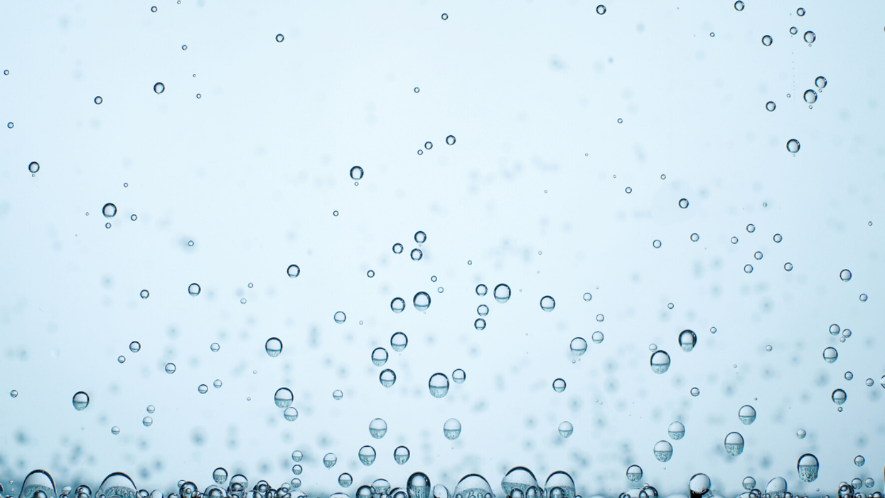 Scientists Have Discovered The First Known Animal That Doesn't Require Oxygen To Survive