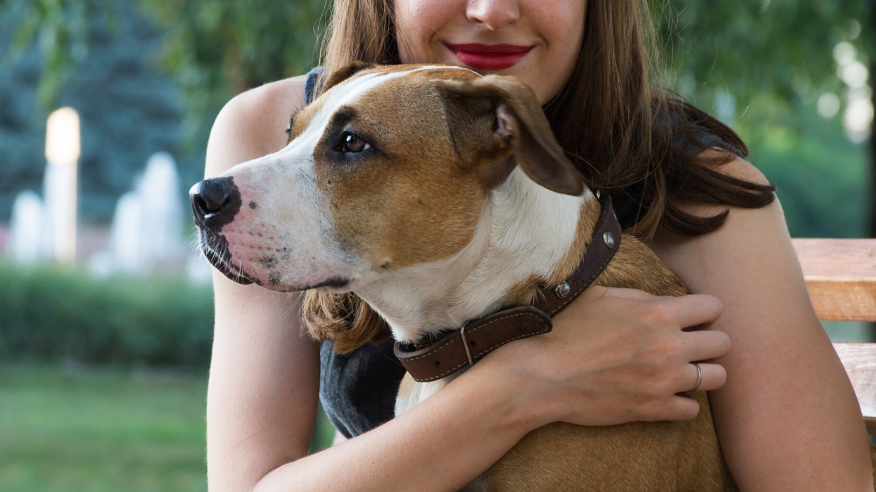 Woman Wonders If She's In The Wrong For Choosing Her Dog Over Her Wife After She Gives Her An Ultimatum