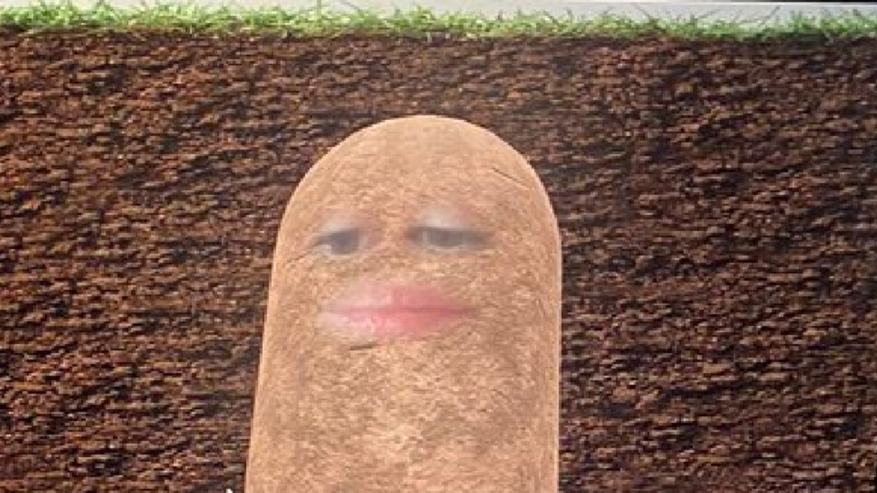 Boss Spends Online Work Meeting As A Potato After Triggering Camera Filter And Not Knowing How To Turn It Off