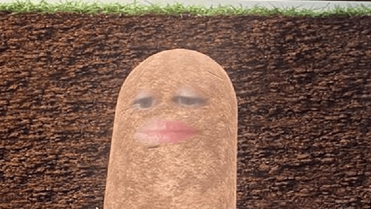 Boss Spends Online Work Meeting As A Potato After Triggering Camera Filter And Not Knowing How To Turn It Off