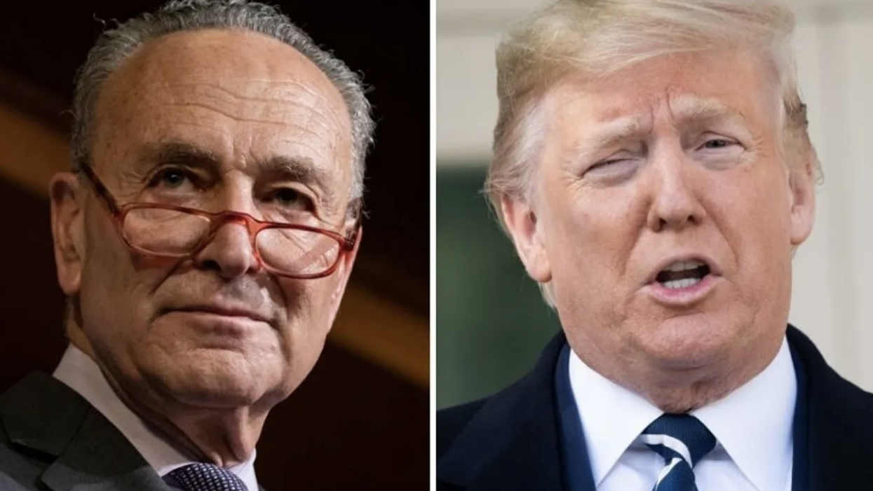Chuck Schumer Just Perfectly Shamed Donald Trump for Sending Him the Pettiest Letter About the Pandemic Response