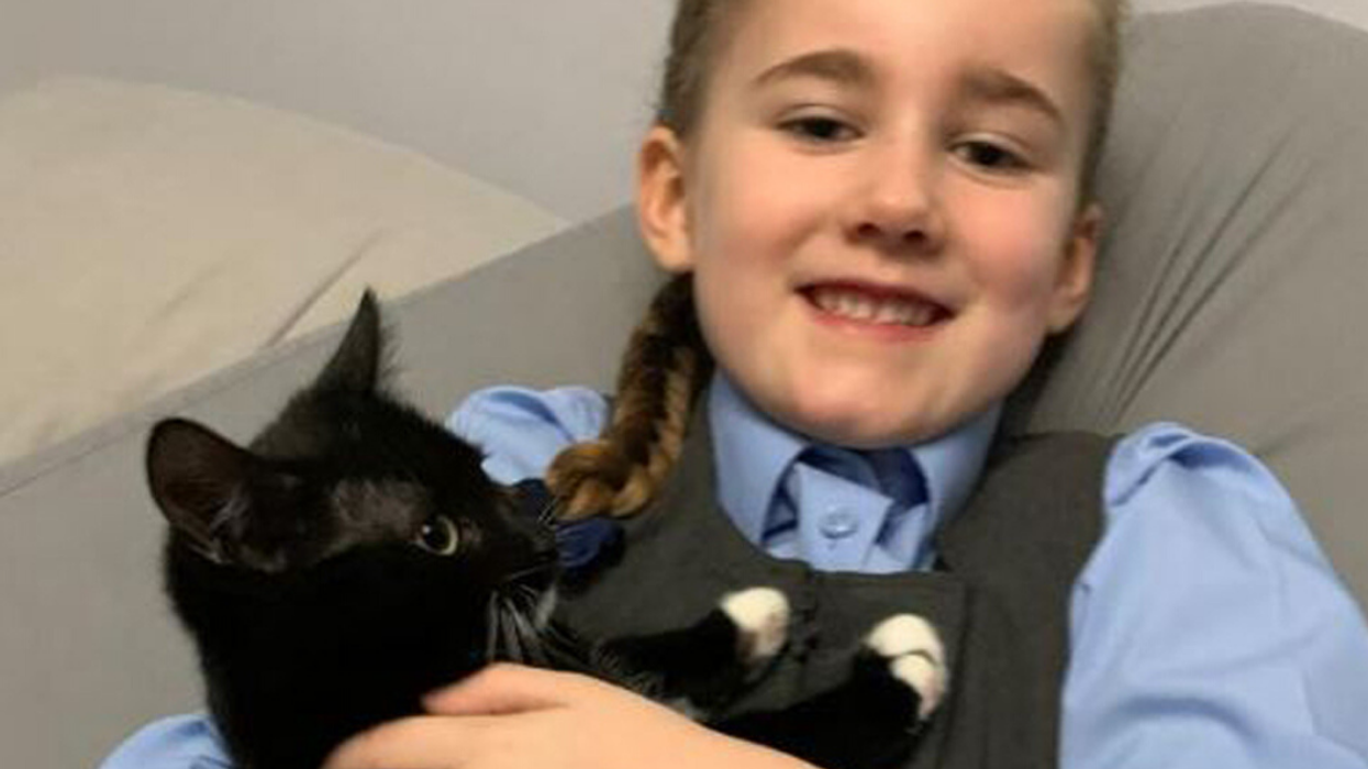 Mom Credits Cat With Easing Her 6-Year-Old Daughter's PTSD And Night Terrors After A Traumatic Car Crash