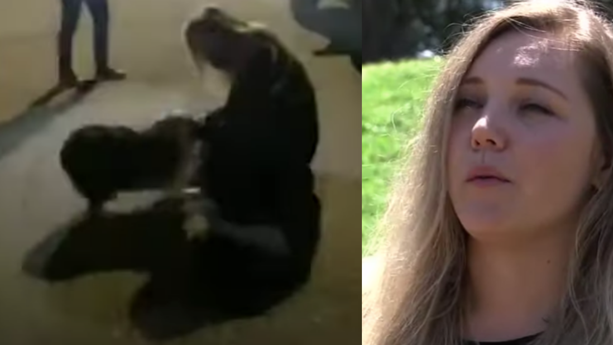 San Francisco Woman Has Emotional Reunion With Her Dog After He Was Stolen Outside Grocery Store 4 Months Ago