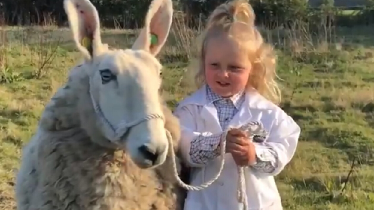 Three-Year-Old Shows Off Her Impressive Sheep-Handling Skills—And, Honestly, It's Better Than We Could Do