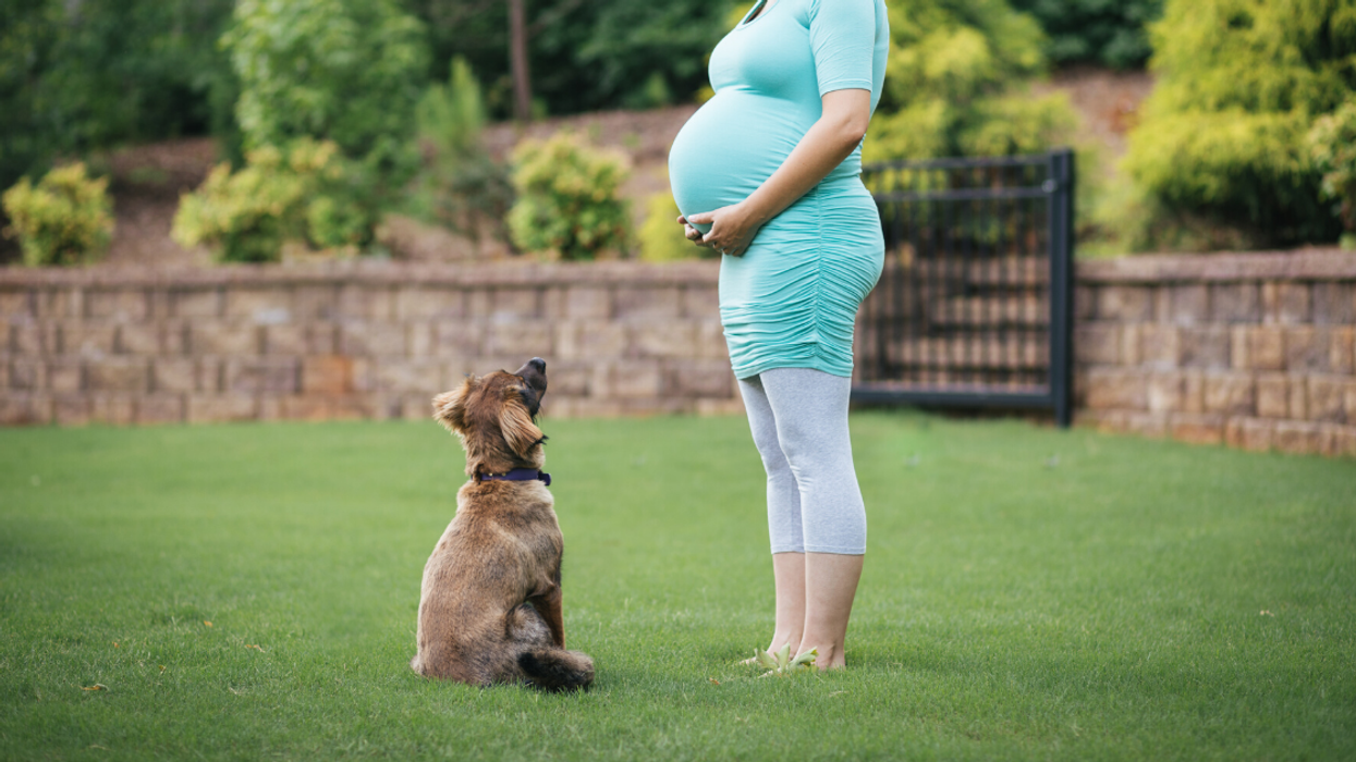 Guy Clashes With His Pregnant Girlfriend After She Wants To Get Rid Of Their New Puppy Because She's 'Overwhelmed'