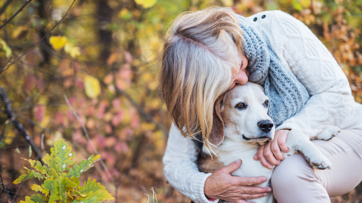 Redditor Refuses To Give Lost Dog They Adopted Back To Its Original Owner Since It's Now Their 'Support Animal'