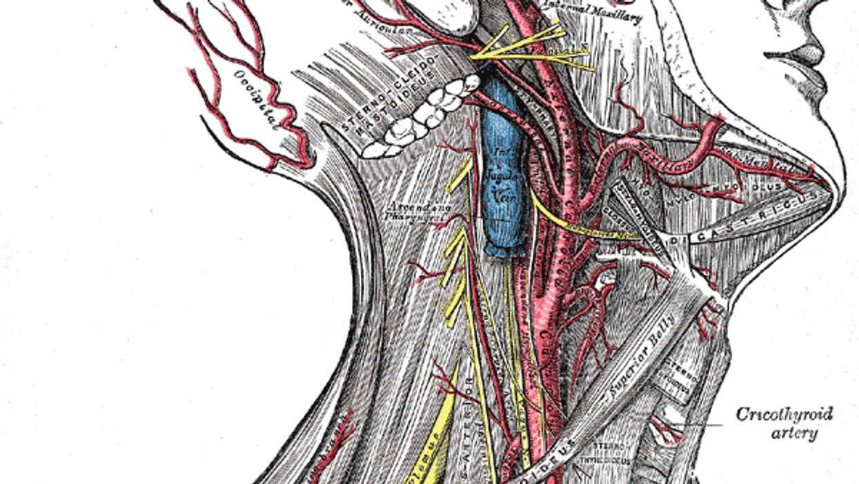 Doctors Share The Most Dangerous Moment They've Ever Experienced With A Patient