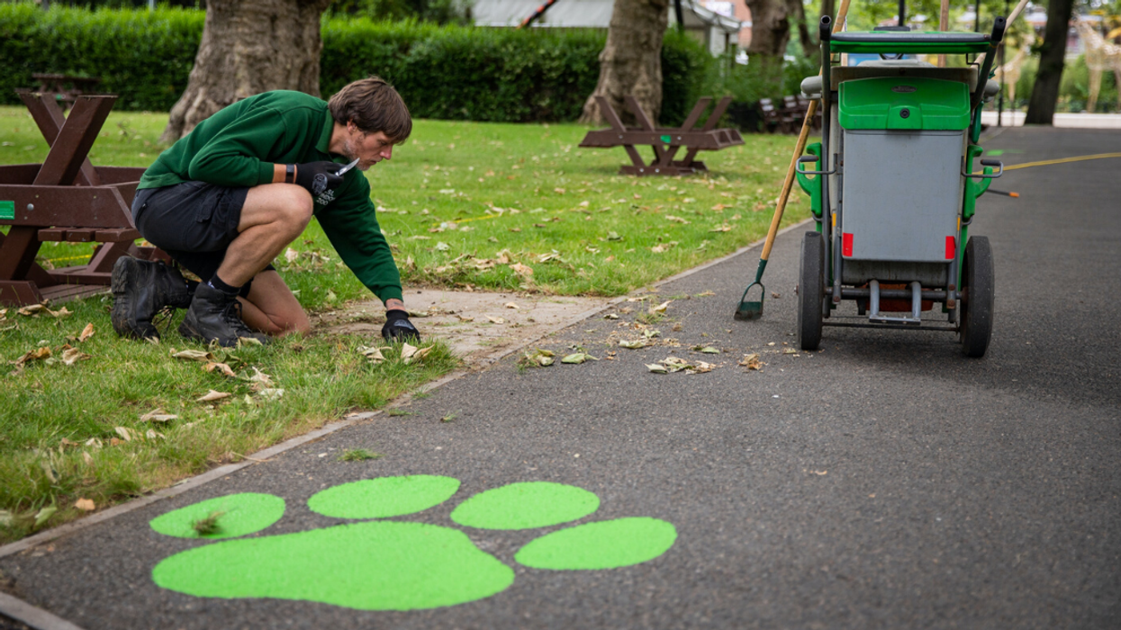 London Zoo's Website Just Crashed Thanks To A Massive Demand For Tickets