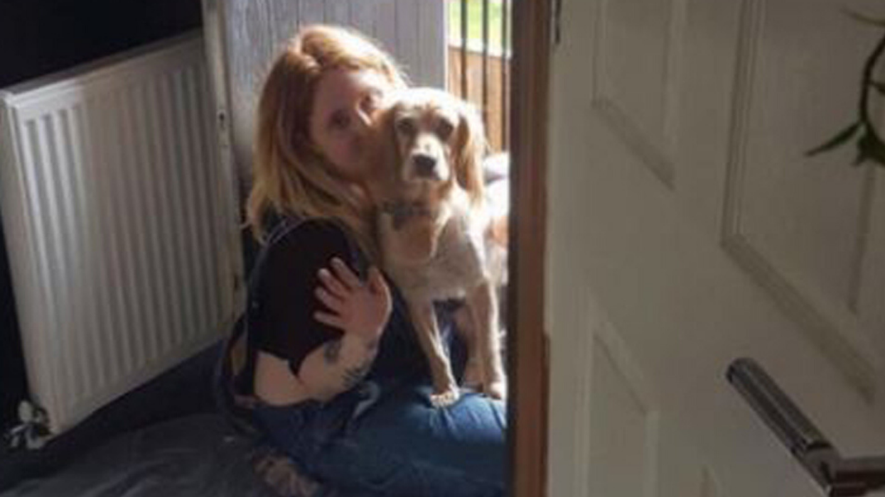 Overweight Dog Sheds Half His Body Weight Thanks To Raw Food Diet