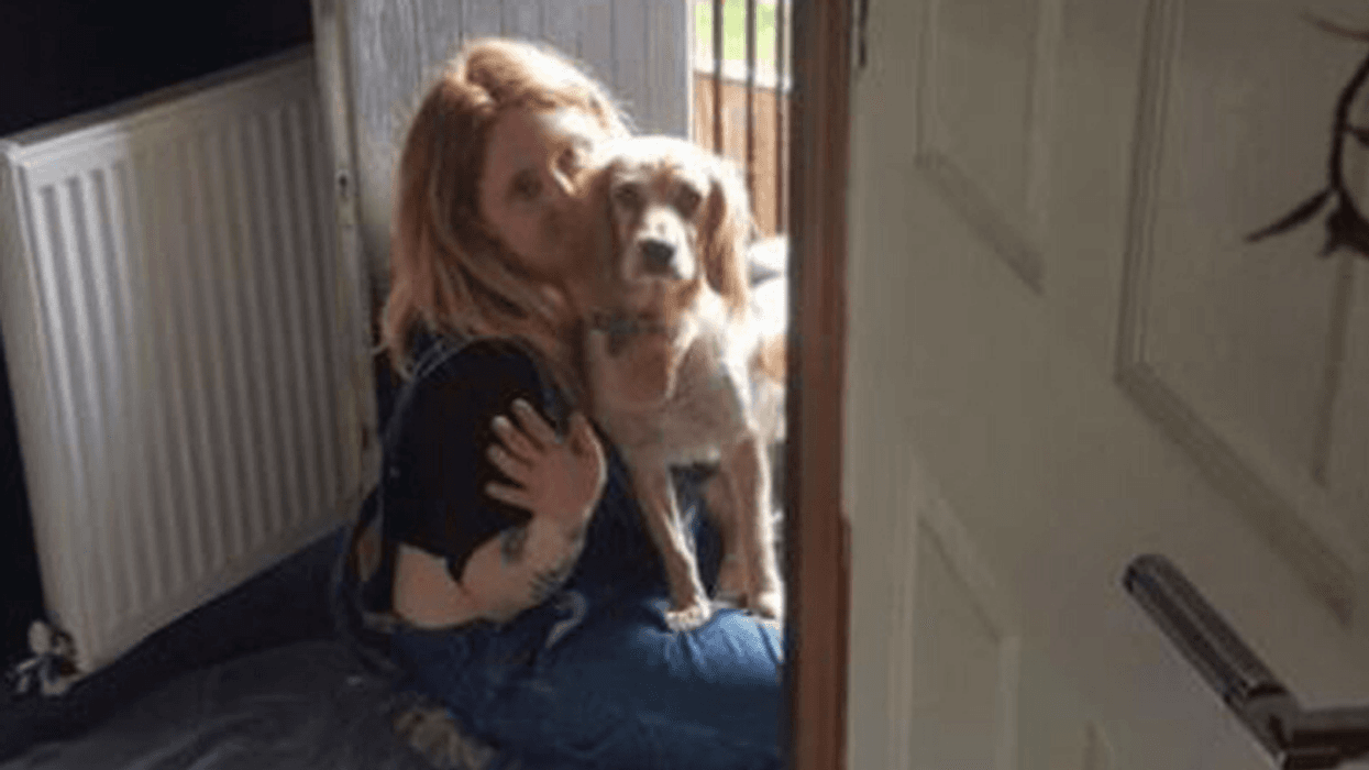 Overweight Dog Sheds Half His Body Weight Thanks To Raw Food Diet