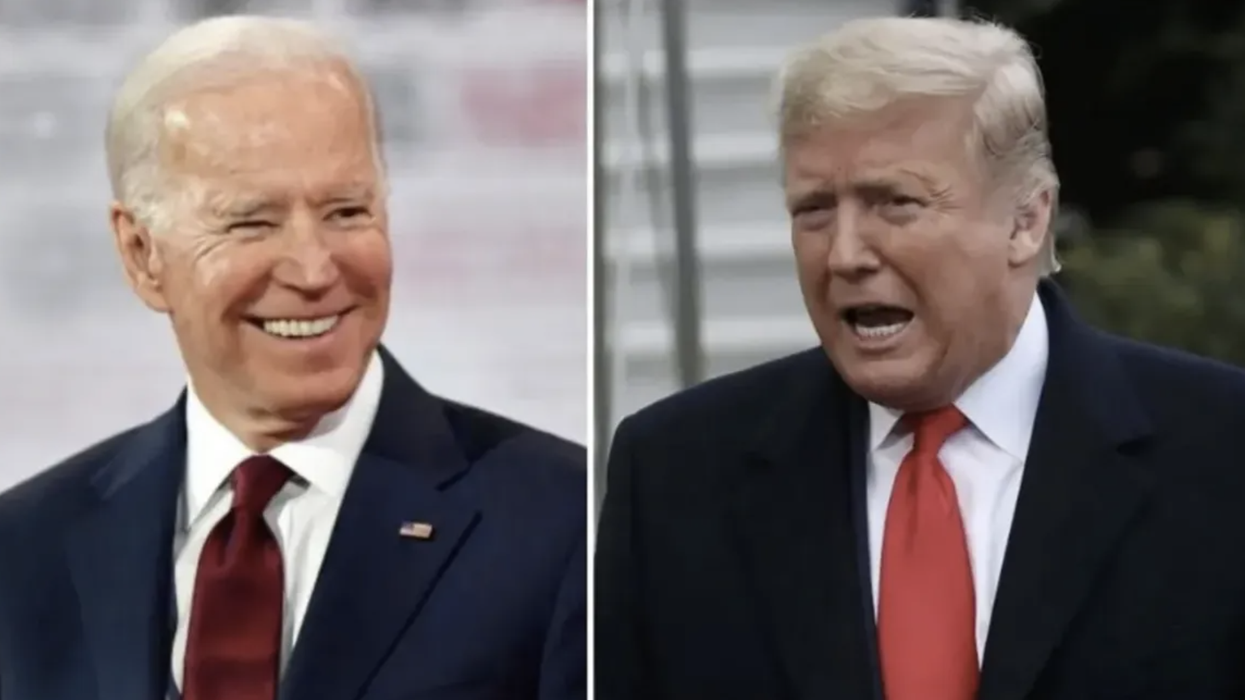 Wall St. Firm Has Dire Warning for Investors About the 2020 Presidential and Senate Elections