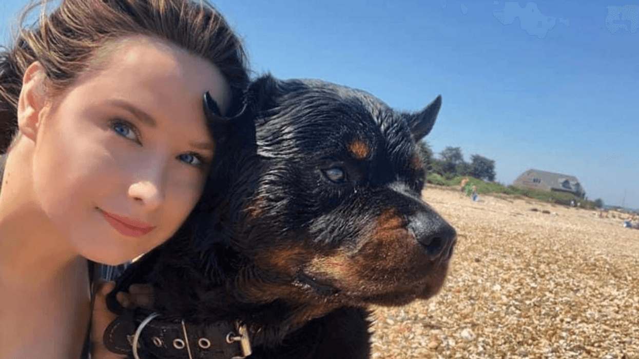 Dog Lover Spoils Her Pooch With Over $26k In Cash And Prizes She's Won From Online Competitions
