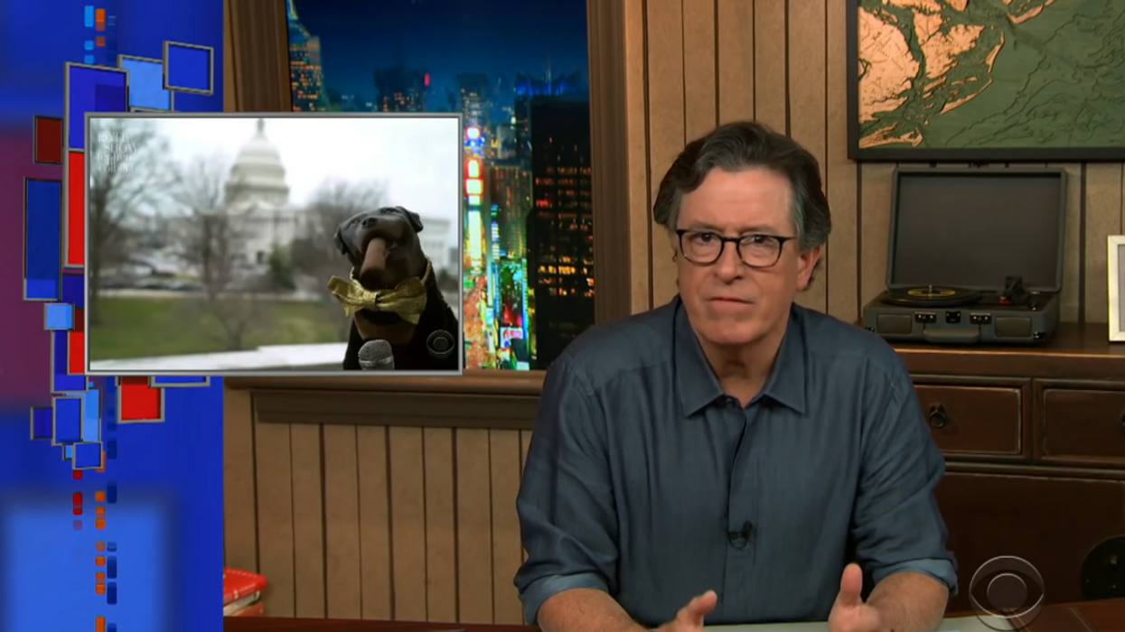 Triumph The Insult Comic Dog Hilariously Shows Just How Far Trump Supporters Will Go To Defend Him