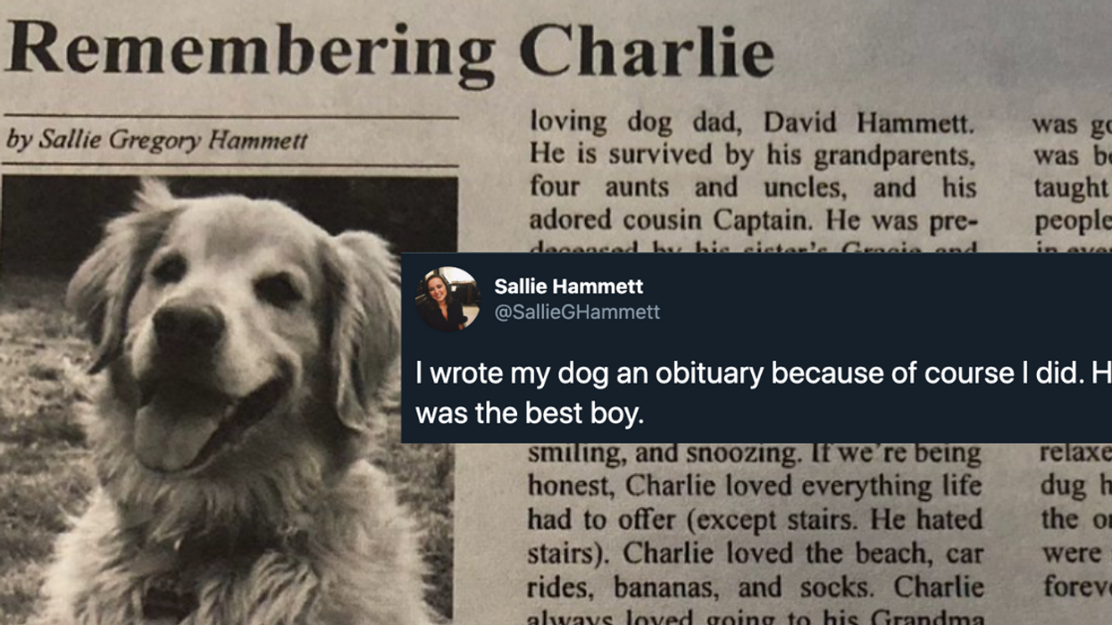 Woman's Heartfelt Obituary For Her Beloved Golden Retriever Has Twitter Feeling Very Emotional
