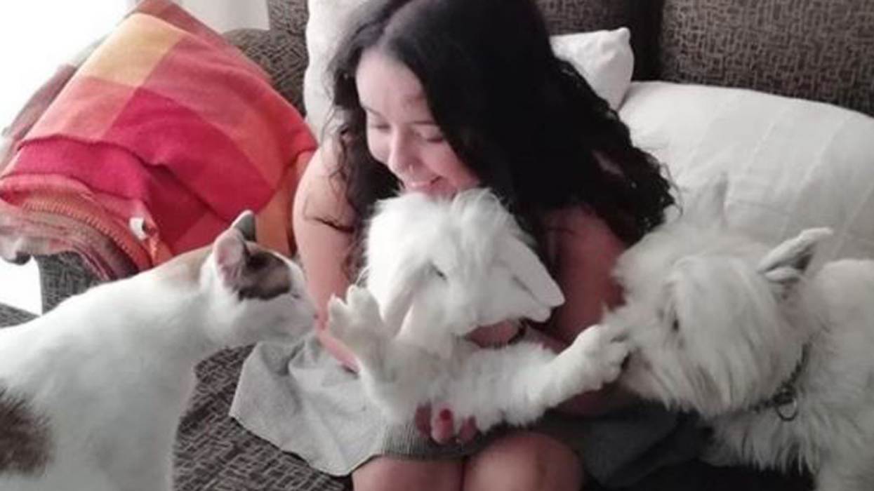 Student Opens Up About Her Trio Of Pets Who Have Become The Unlikeliest Of Four-Legged Friends