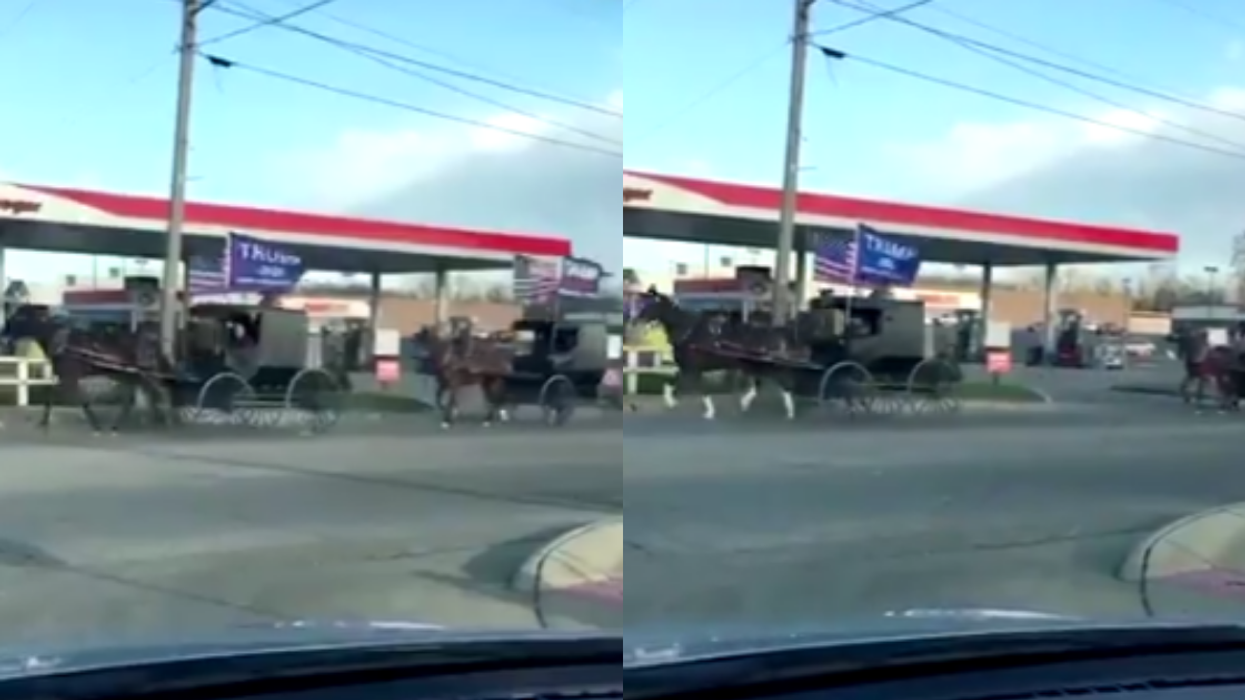 Viral Video Appears To Show Amish Trump Supporters Staging A 'Horse Rally' Ahead Of Election