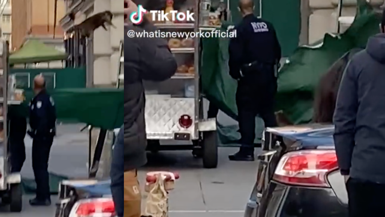 The NYPD Is Getting Roasted After They Tried To Rescue A Raccoon—And Totally Biffed It