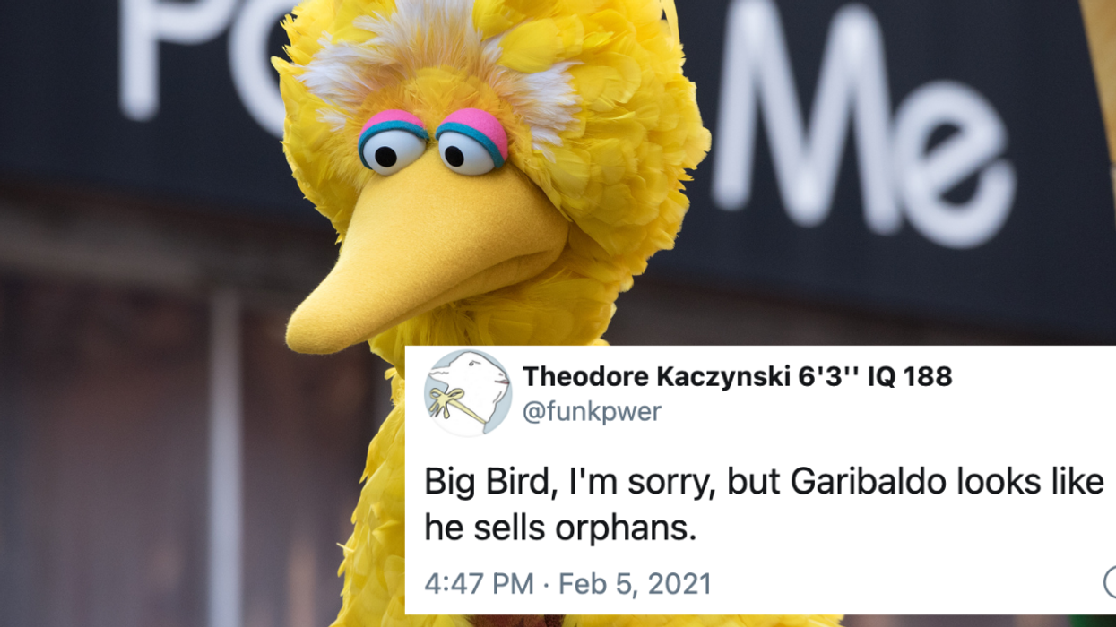 Big Bird Just Introduced Twitter To His 'Scary' Brazilian Cousin Garibaldo—And We're Not OK