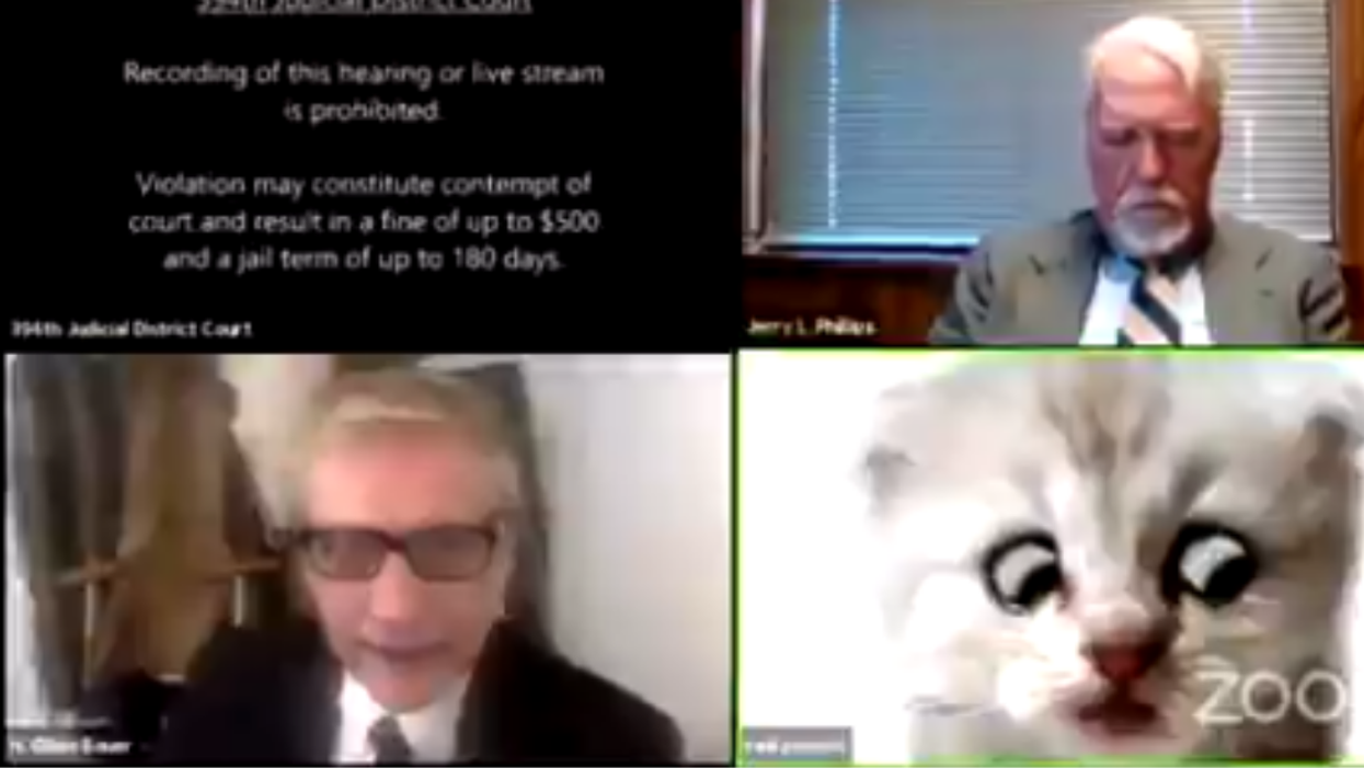 Viral 'Zoom Cat Lawyer' Allegedly Used Federal Agents To Harass A Former Lover With Drug Raids