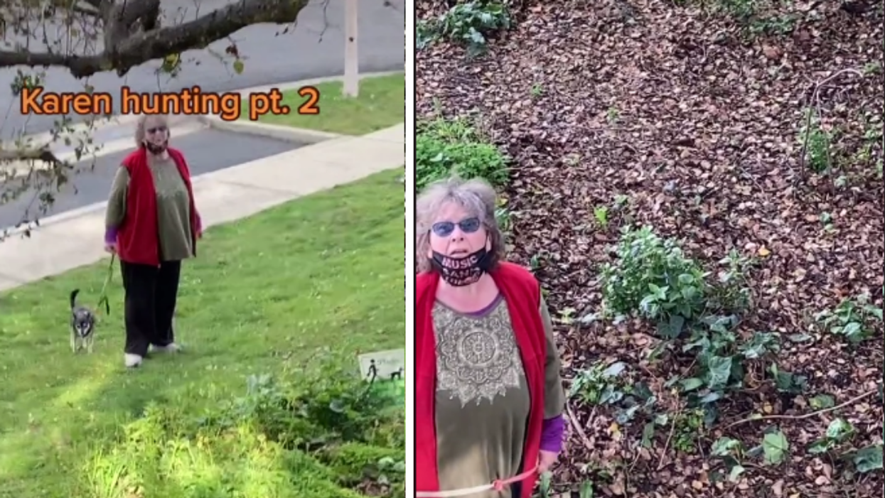 Tree-Climbing Kid Sends 'Karen' Into A Rage With His Measured Response To Her Tantrum