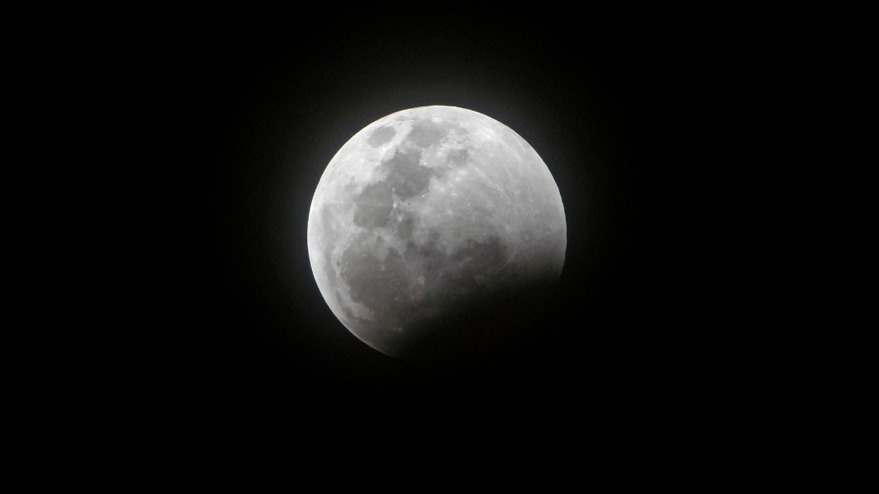 Scientists Plan To Send Huge Load Of Sperm And Egg Samples To The Moon As Part Of 'Modern Ark'