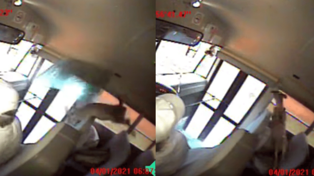 Deer Crashes Through School Bus Window And Lands On Sleeping Student In Wild Video