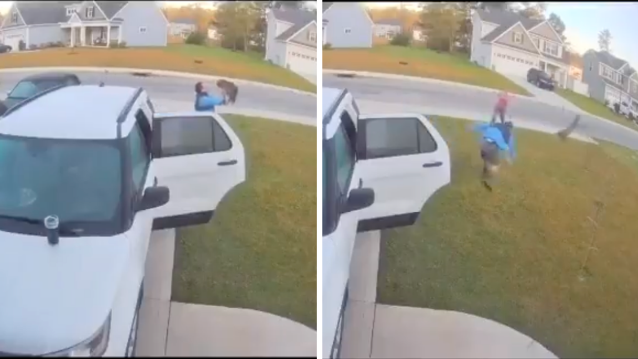 Man Picks Up And Hurls Rabid Bobcat Across His Lawn After It Attacked His Wife In Wild Viral Video