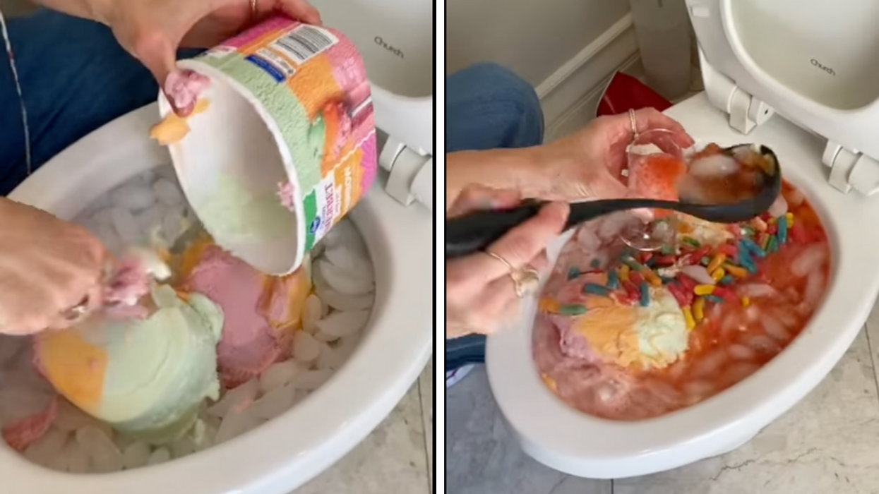 Woman's Viral 'Trick' For Making Ice Cream Punch Using A Toilet Has People Feeling Nauseous