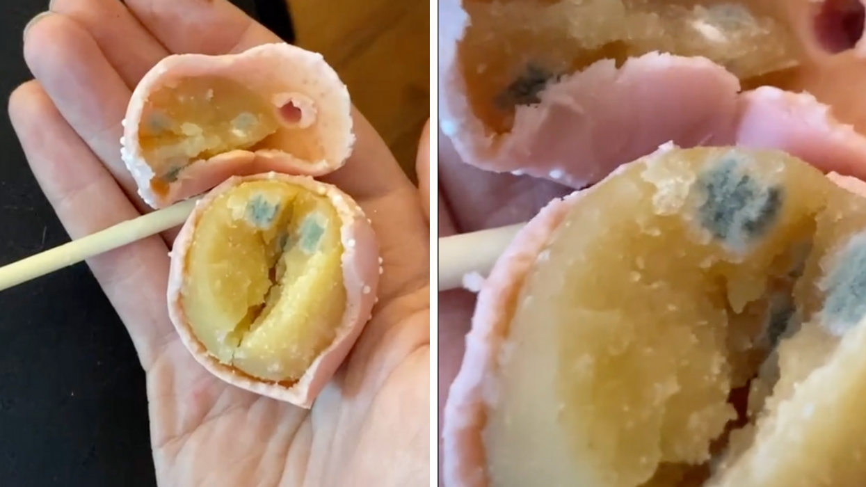 Woman Grosses Out TikTok After Biting Into A Starbucks Cake Pop And Getting A Nasty Surprise