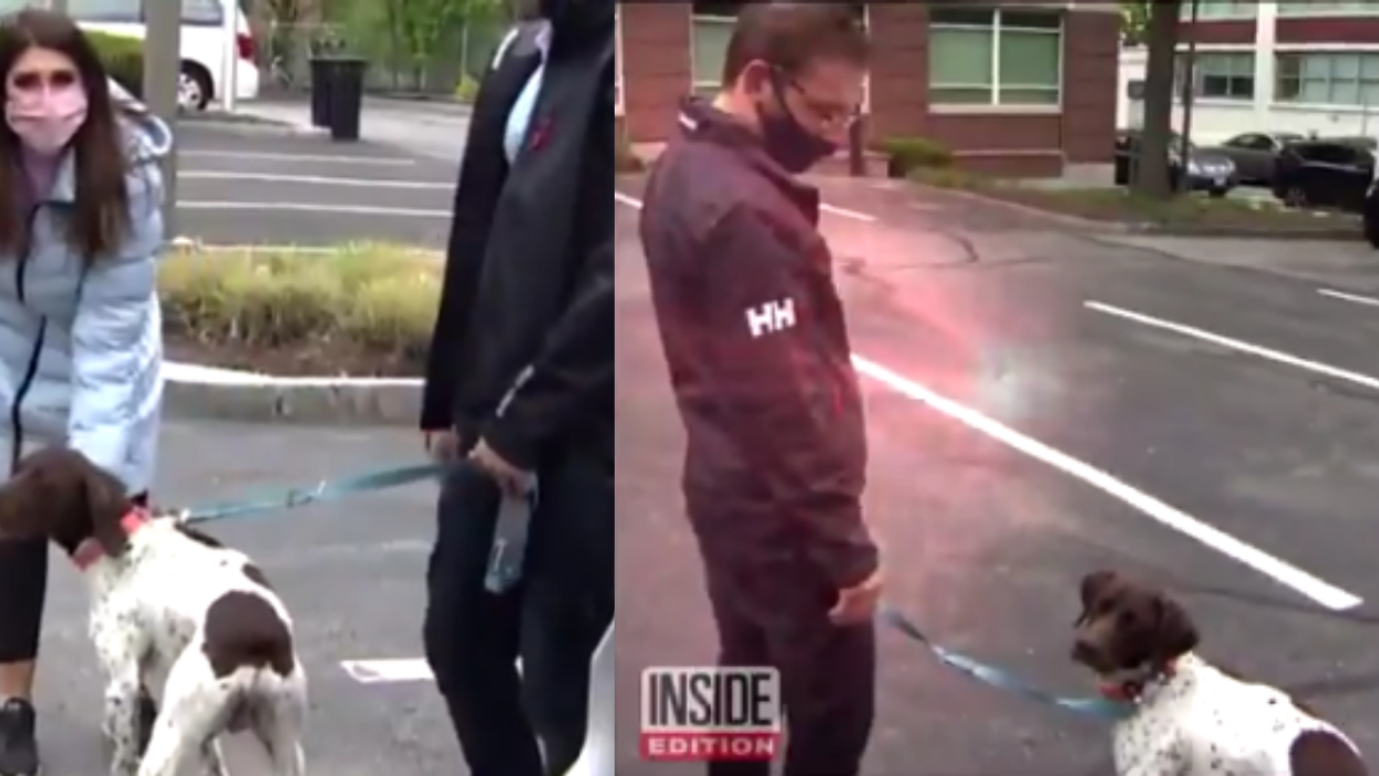 Reporter Covering Stolen Puppy Story Actually Spots It And Confronts The Dognapper In Wild Video