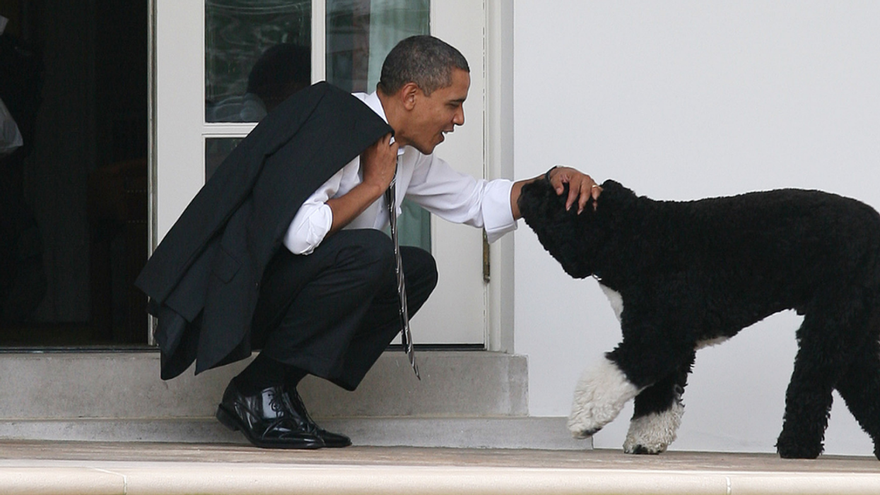 Obama Was Surprised By The Kind Response He Got From His Haters After The Death Of His Dog, Bo