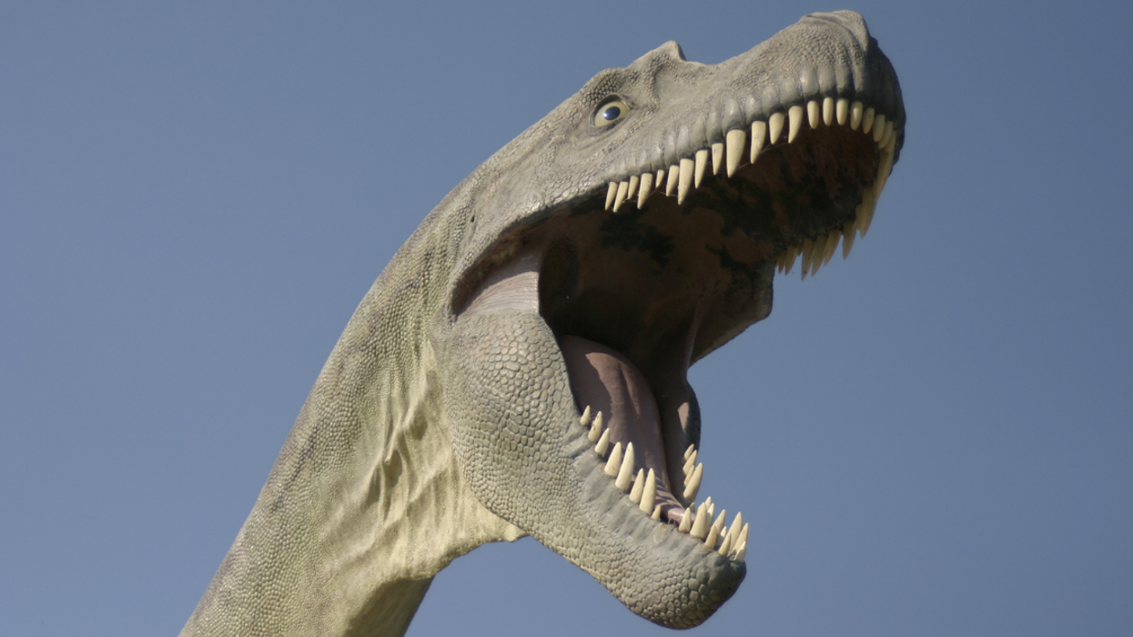 Foul Odor Leads To Discovery Of Missing 39-Year-Old Man's Body Inside Dinosaur Statue