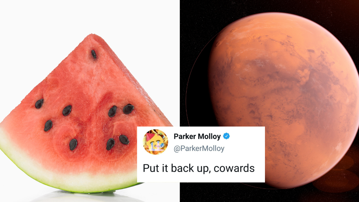 Internet Bummed After NY Times Article About Watermelons On Mars Was Published In Error