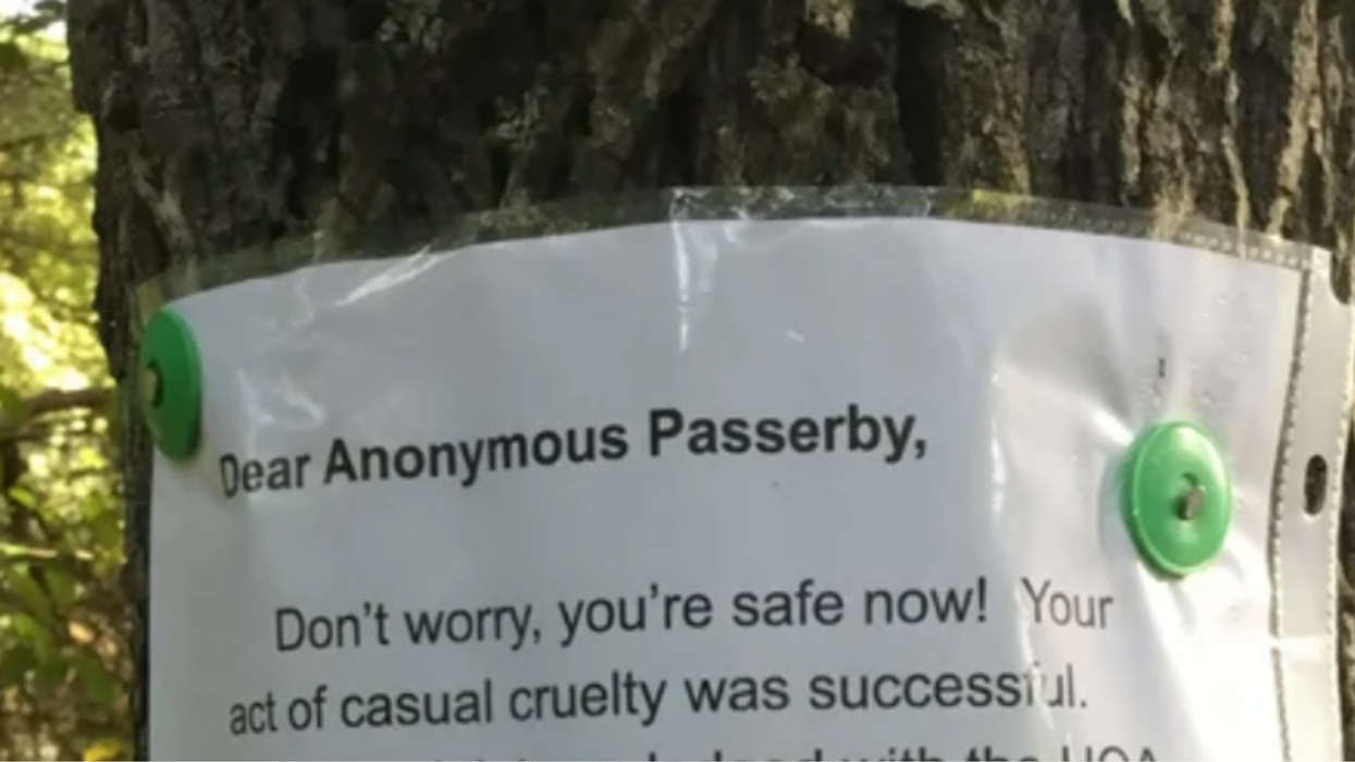 Dad Writes Scathing Letter To Whoever Had HOA Force Him To Tear Down His Kids' Treehouse